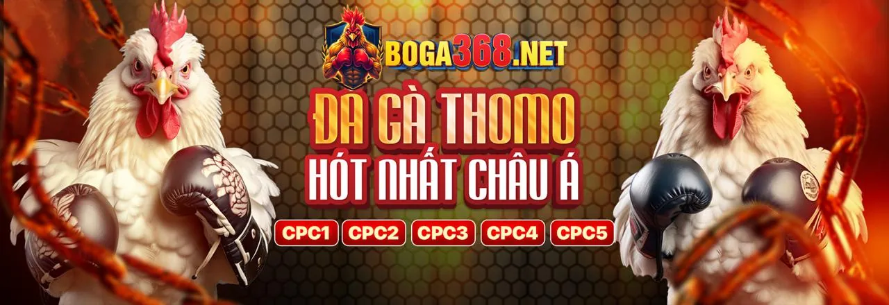Sân vận động bóng đá với các cầu thủ đang thi đấu, thể hiện sự sôi động của cá cược thể thao JSS77